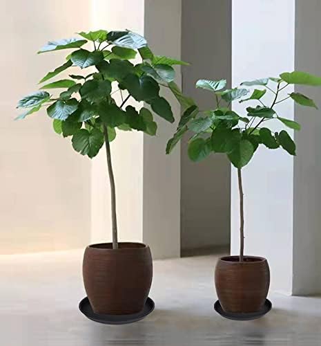 2 Pack of 16 17 inch Plant Saucer, 2.3" Depth, Plant Trays - Image 4
