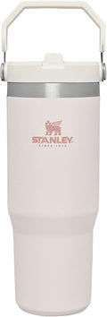 STANLEY IceFlow Flip Straw Tumbler by Unknown