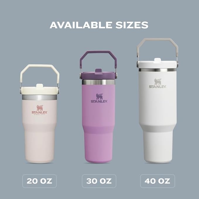 STANLEY IceFlow 2.0 Flip Straw Tumbler, 20 oz, Twilight | Easy Carry Handle | - Image 7