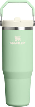 STANLEY IceFlow 2.0 Flip Straw Tumbler, 30 oz, Pistachio | Easy Carry Handle | by Unknown