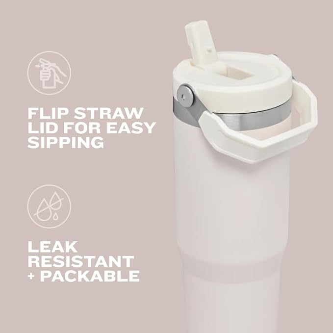 STANLEY IceFlow 2.0 Flip Straw Tumbler, 20 oz, Chili Red | Easy Carry Handle | - Image 6
