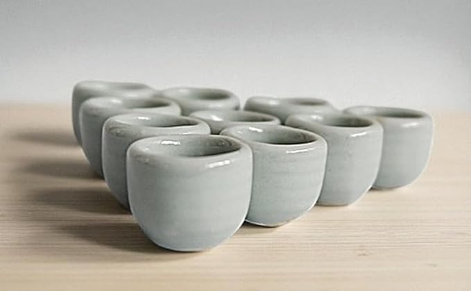1shopforyou Mini Ceramic Japanese Style Handmade Tea Cups – Set of 10 by Unknown