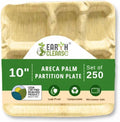 Areca Palm Leaf 10-Inch Square Compartment Plates (250 Count) – 100% Compostable, Biodegradable Like Bamboo Plates | Eco-Friendly Disposable Dinnerware | Microwave & Oven Safe