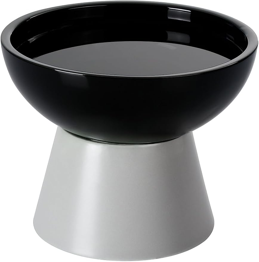 LoeJan Elevated Cat Food and Water Bowls Set, Extra Wide and Raised Ceramic by LoeJan