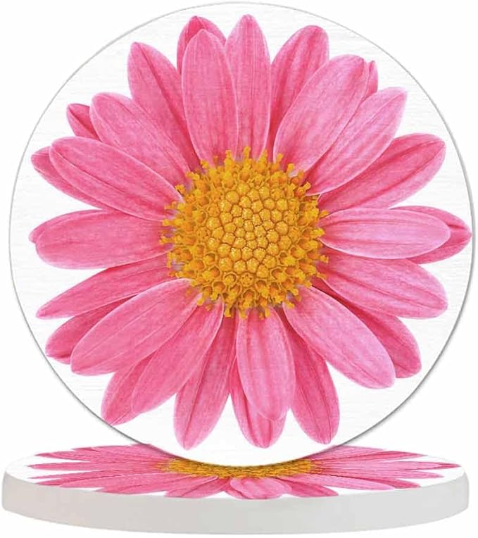 Pink Chrysanthemum Drink Coaster Isolated Beautiful Blossom Beautiful Home Decor Diatomite Heat-Resistant Diatomite 4 Inch for Cold Drinks Wine Mugs Cups