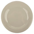 GET 12" Heavy-Duty Wide Rim Melamine Plastic Dinner Plate (Set of 12)