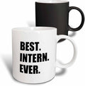 3dRose mug_185007_3 Best Intern Ever Fun Appreciation Gift by 3dRose