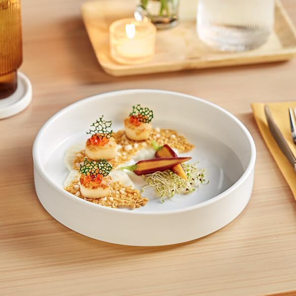 Lore Bright White Porcelain Deep Plate, 9 1/4 Inch, Raised Rim, Dishwasher Safe, Stackable, 12 Case, Glossy Finish