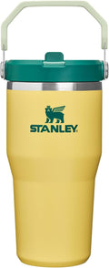 STANLEY IceFlow 2.0 Flip Straw Tumbler, 20 oz, Daffodil Emerald | Easy Carry by Unknown