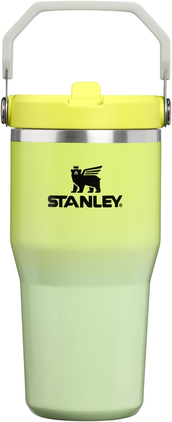 STANLEY IceFlow 2.0 Flip Straw Tumbler, 20 oz, Atomic Gradient | Easy Carry by Unknown