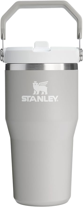 STANLEY IceFlow 2.0 Flip Straw Tumbler, 20 oz, Ash | Easy Carry Handle | Twist by Unknown