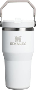STANLEY IceFlow 2.0 Flip Straw Tumbler, 20 oz, Frost | Easy Carry Handle | by Unknown