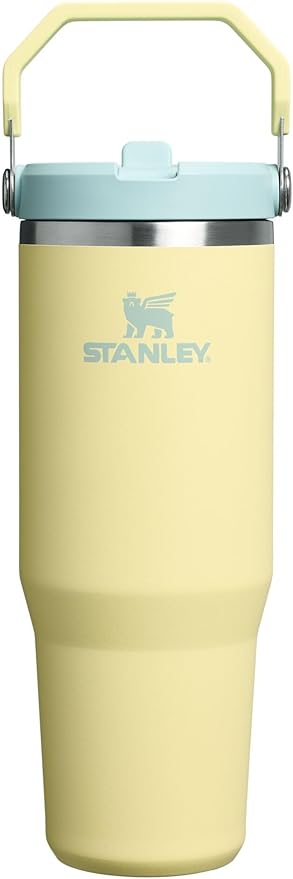 STANLEY IceFlow 2.0 Flip Straw Tumbler, 30 oz, Pomelo | Easy Carry Handle | by Unknown