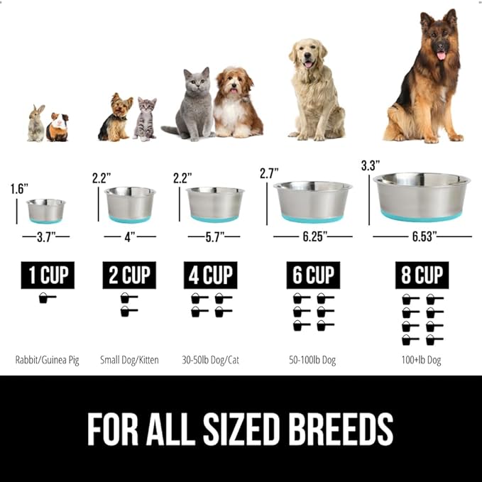 GORILLA GRIP Dog Bowl, Holds 6 Cups (48 fl oz), Heavy Duty Metal Food and Water Bowl for Feeding Dogs and Cats, Dishwasher Safe, Rust Resistant Stainless Steel, BPA Free Rubber Base, Turquoise