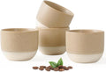INGOFIN Ceramic Espresso Cup Set of 4-4.2 oz Espresso Cup by INGOFIN