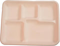 case of 200 5-Compartment School Tray – Eco-Friendly, Biodegradable, Microwave & Freezer Safe – Ideal for Catering, Takeaway & Events – Bulk Pack – Sustainable Disposable Tableware