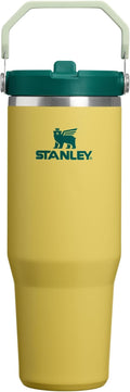 STANLEY IceFlow 2.0 Flip Straw Tumbler, 30 oz, Daffodil Emerald | Easy Carry by Unknown