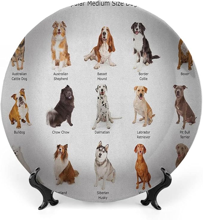 Decorative Plates, Dog Print Ornament, AGroup of Different Puppy Breeds Family Type Species, 8 Inch, Kitchen Wall Decor, Multi