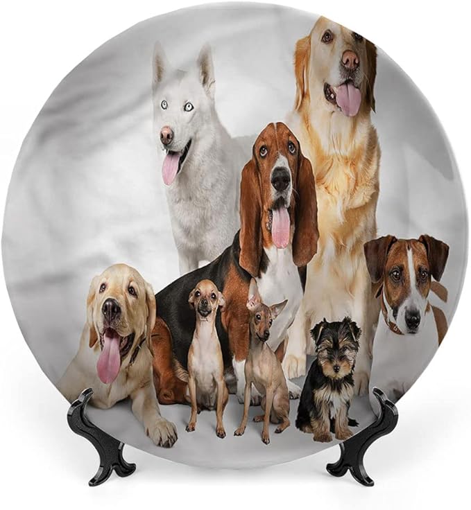 Decorative Plates, Dog Lover Print Ornament, House Pet Photo Shoot, 10 Inch, 1 Plate with 1 Display Stand, Multicolor