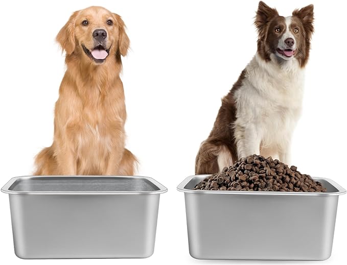 1.25 Gallon Dog Water Bowl, 2 Pack Stainless Steel Dog Bowls | 12.6 x 8.7 x 3.9 by Lonepetu
