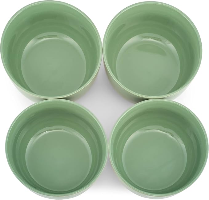 Elanze Designs Bistro Glossy Ceramic 6.5 inch Dinnerware Bowls Set of 4 - Perfect for Everyday uses from Soup, Pasta, Salad, Cereal, Ice cream, Ramen and Pho, Sage Green