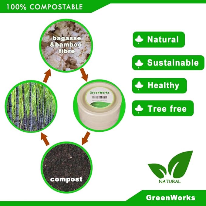 GreenWorks 100 Count 10“ Heavy-duty Compostable Plates, Unbleached Biodegradable Bagasse and Bamboo fiber Paper Plates