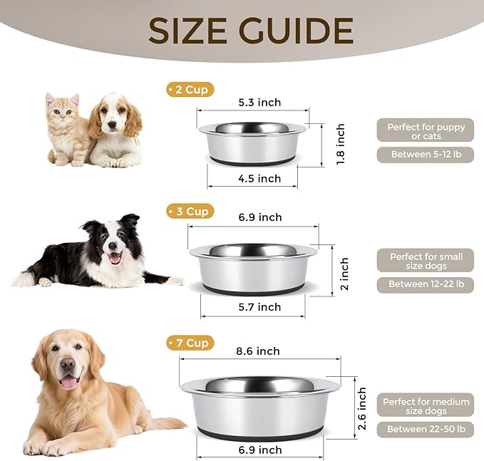 Dog Bowls Durable Heavy Duty Stainless Steel Dog Bowls Non-Slip Basic Bowl for Dogs with Rubber Base (2 Pack, 2 Cups)