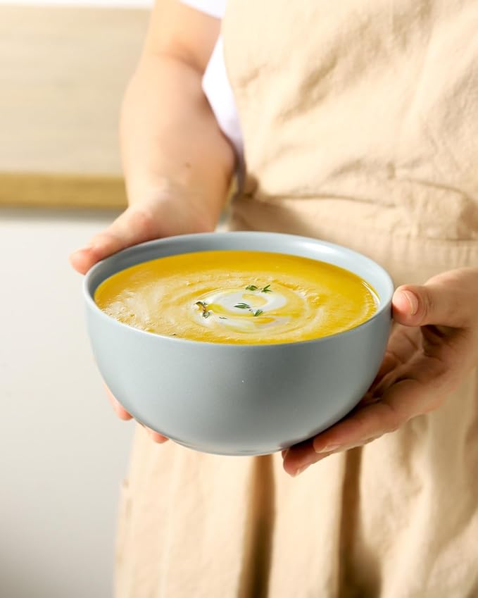 Cereal Bowls Set of 4, 24 oz Bowls for Kitchen, Ceramic Bowls for Salad, Fruit, Breakfast, Dessert, Stoneware Soup Bowls, Dishwasher & Microwave Safe, Pebble Gray