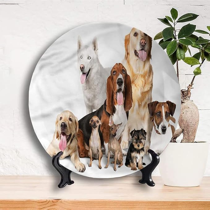 Ceramic Plates, Dog Lover Decorative Ceramic Plates, House Pet Photo Shoot, 7 Inch, Household Plates Decorative, Multicolor