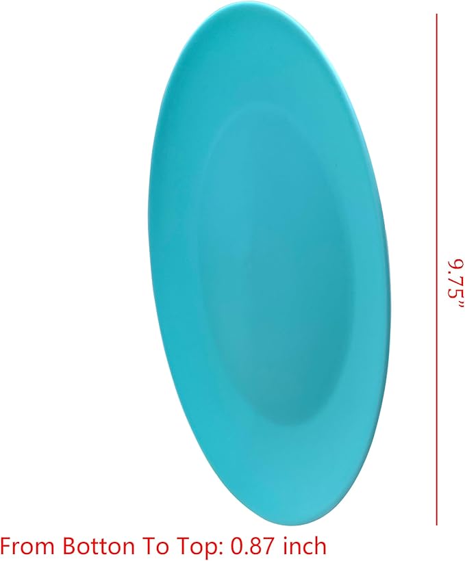 Plastic Plates Reusable - 10 inch Unbreakable Dinner Plate set of 12 - BPA Free Dishwasher Safe Microwave Plates - Everyday Large Plate for Kids Kitchen Salad Party Outdoor
