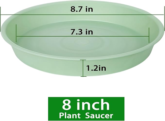 2 Pack of 8 inch Plant Saucer Clear, Heavy Duty Plastic Plant Water Tray 8 inch - Image 2