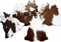 Cowhide Coasters Set of 6 – Genuine Hair-On Cowhide Drink Tea Coasters by Unknown