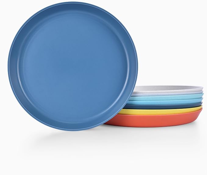9 Inch Dinner Plates Set of 8 by Homestockplus