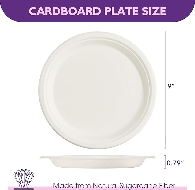 Compostable Paper Plates 9 Inch 125 Pack, Biodegradable Disposable Plates Heavy Duty White Plates, Made of Natural Sugarcane Bagasse, Unbleached Round Dinner Plates