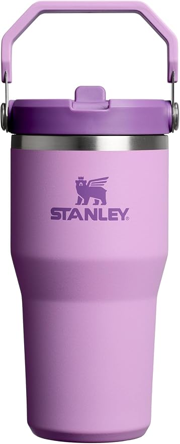 STANLEY IceFlow 2.0 Flip Straw Tumbler, 20 oz, Lilac | Easy Carry Handle | by Unknown