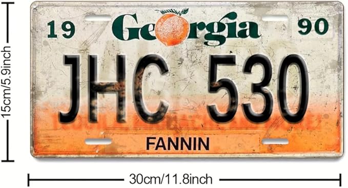 Vintage License Plate Wall Decor Set (Decorative Use Only), 50 US State Metal Signs, 6 x 12 Inch Embossed Retro Plates for Garage Decor, Man Cave Decor