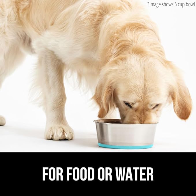 GORILLA GRIP Dog Bowls, Holds 4 Cups Each (32 fl oz), Heavy Duty Stainless Steel Food and Water Bowl for Feeding Dogs and Cats, Dishwasher Safe, Rust Resistant, BPA Free Rubber Base Set of 2 Turquoise