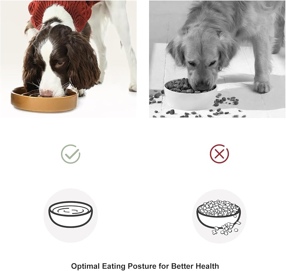 Ceramic Maze Dog Slow Feeder with Non-Slip Silicone Rim – Heavy-Duty Stoneware Bowl with Puzzle Pattern for Bloating & Obesity Prevention (Ice Blue-M)