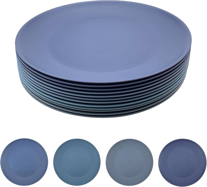 Plastic Dinner Plates Reusable, Unbreakable Salad Plates 10 inch set of 12, BPA Free Dishwasher & Microwave Safe Party Plate for Kids Kitchen Camper Outdoor (Grey Stone)
