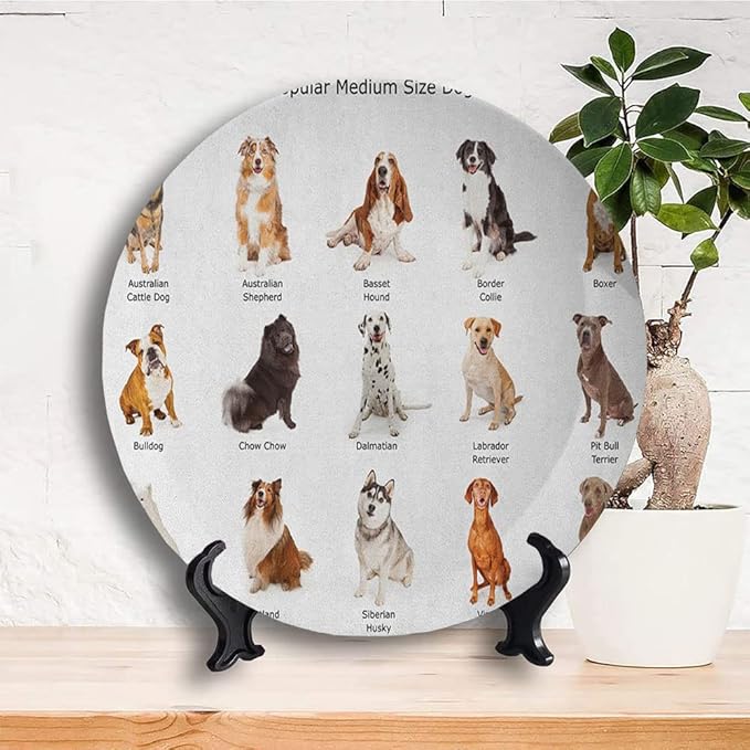 Ceramic Display Plate, Dog Ceramic Hanging Decorative Plate, AGroup of Different Puppy Breeds Family Type Species, 7 Inch, Living Room Kitchen Decoration Household, Multi