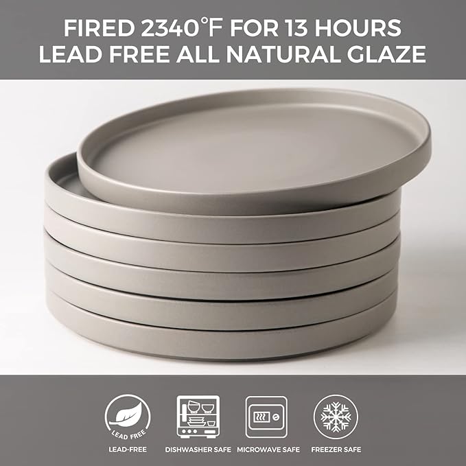 AmorArc Ceramic Plates Set of 6, Matte Glaze 8.0 Inch Dishes Set for Kitchen, Dessert,Salad,Appetizer, Small Dinner Plates, Microwave & Dishwasher Safe, Scratch Resistant, Matte Grey