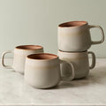 Ava Nord Stoneware Ceramic Coffee Mugs Set of 4 | 12 oz | Sage Ash | Lead-Free by AvaNord