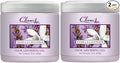 Clear Air 15oz Gel Odor Eliminator - Absorb & Remove Strong Odors from Pets, in Bathrooms, Basements, Garage, Cars, RVs & Boats - Eliminate Tough Odors with Essential Oils (Vanilla Lavender, 2-Pack)