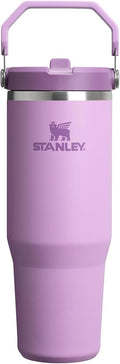 STANLEY IceFlow 2.0 Flip Straw Tumbler, 30 oz, Lilac | Easy Carry Handle | by Unknown
