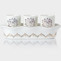 QINLANG White Buddhist 3 Altar Cups Set, Buddha Water Cup Set of 3, Ceramic by QINLANG