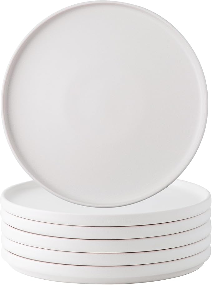 AmorArc Stoneware Dinner Plates Set of 6, 10.5 Inch Reactive Matte Glaze Ceramic Plates Set, Modern Dinnerware Dish set for Kitchen,Microwave, Dishwasher Safe, Scratch Resistant,Matte White