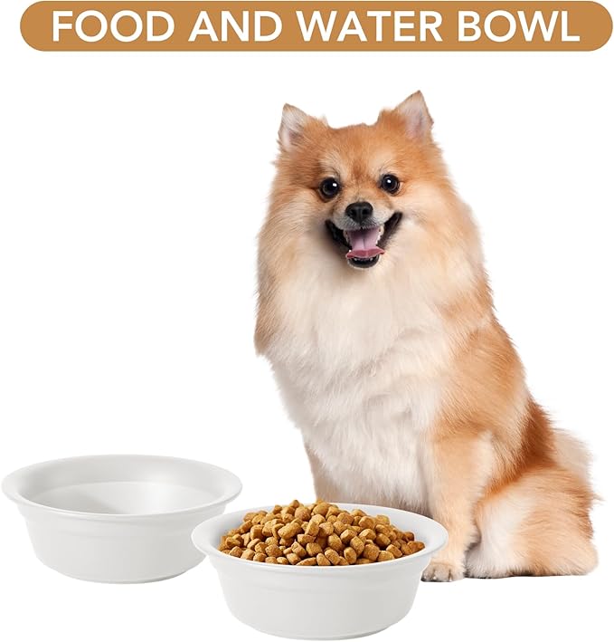 Ceramic 5.5inch Set of 2 Dog and Cat Bowls, 2pcs Basic 1 Cup Food or 9.5 oz Water Dishes for Puppy, Kitty, Wide Opening Rounded Edge (2 Bowls, Matt White)