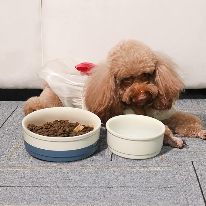 Sweejar Ceramic Dog Bowls, Dog Food Dish for Small Dogs and Cat, Heavy Duty Porcelain Pet Bowl for Canned Food and Water 17 Fl Oz（White）