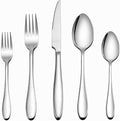 LIANYU Silverware Set 20-Piece, Stainless Steel Flatware Utensils Set Service by LIANYU