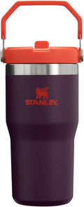 Stanley IceFlow Flip Straw Tumbler by Unknown